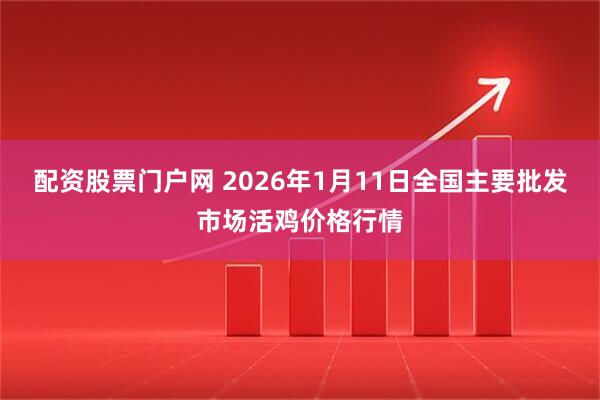 配资股票门户网 2026年1月11日全国主要批发市场活鸡价格行情