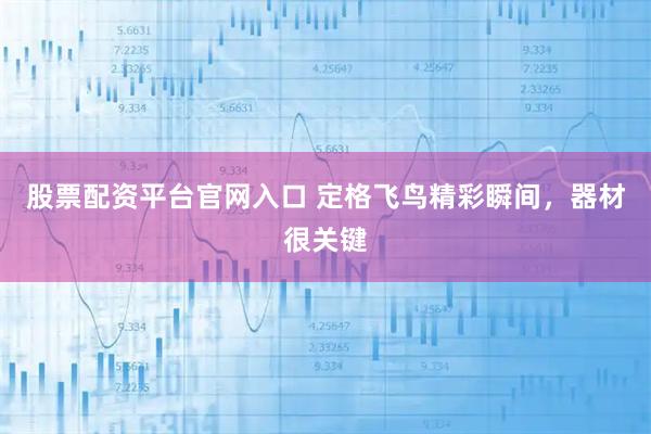 股票配资平台官网入口 定格飞鸟精彩瞬间，器材很关键