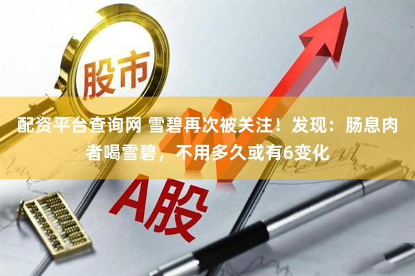 配资平台查询网 雪碧再次被关注！发现：肠息肉者喝雪碧，不用多久或有6变化